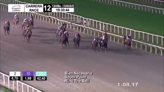 Vidéo de la course PMU PRIX MASTER OF PUPPETS (2024)