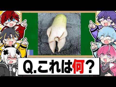 [General Knowledge Quiz] We Asked 6 Total Misfits Questions and Their Answers Were Savage LOL [Me...