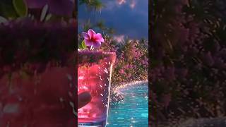 夜のカクテル散歩 #NightVibes #ChillVibes 🌺 #カクテル #hawaiian #relaxingmusic