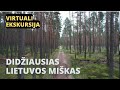 Dzūkijos miškai | Dronas virš Lietuvos