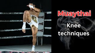 ทักษะการใช้เข่า (Knee techniques)