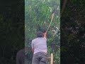 masti #trending #video #dance #dolimehra #sport