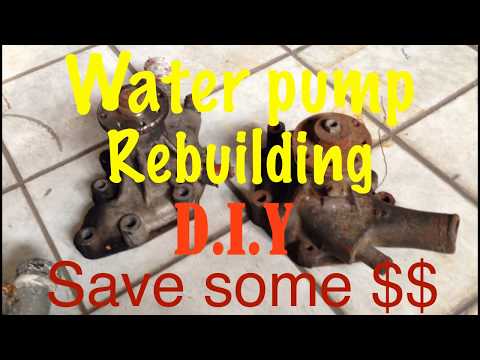 Automotive Water Pump Repair Near Me