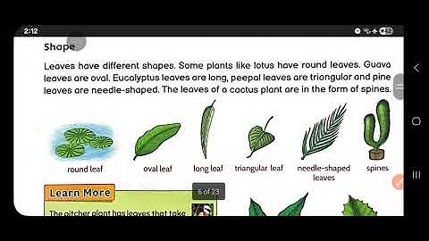 Leaves in our lives,  class 3, chapter 6, EVS ,# Viral 