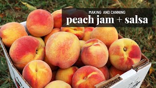 Picking + canning peaches from a local orchard VLOG 🍑 Jam + Salsa | GroundedHavenHomestead