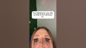 Dog just enjoying the gawk gawk #dog #shorts