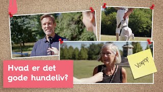 Hvad er Det Gode Hundeliv?