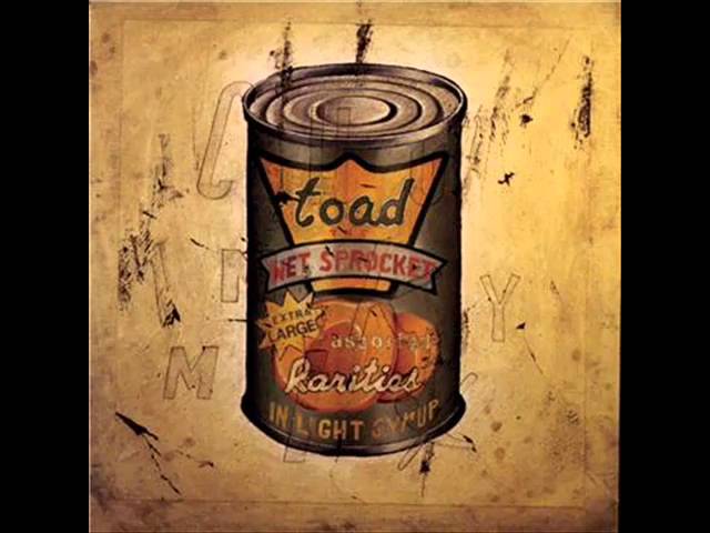 Good Intentions - Toad the Wet Sprocket (HQ)