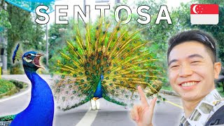 New FREE Nature Exhibit in Sentosa Singapore