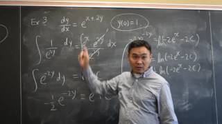 First Order Differential Equations: Separable Differential Equations 3