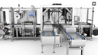Infeed of Products with Carriers for Automated Loading (Animation)