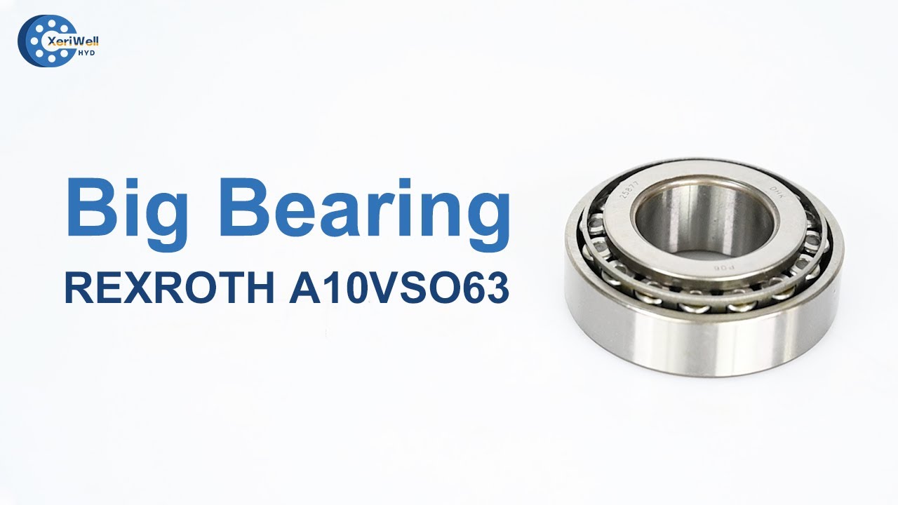 REXROTH A10VSO63 Hydraulic Pump Spare Parts   Big Bearing