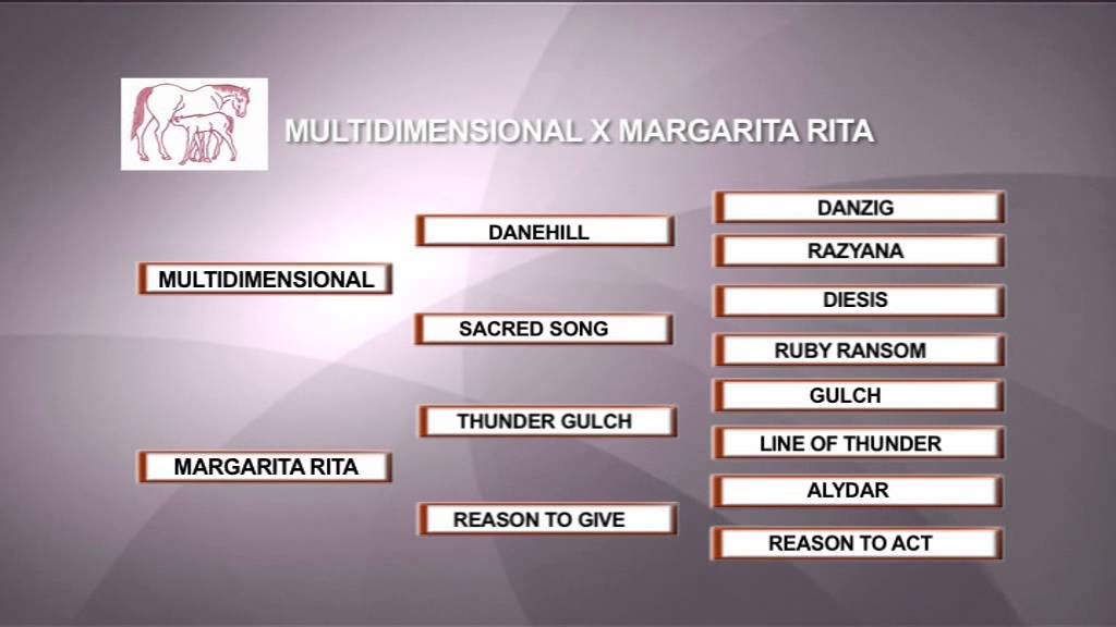 Margarita Rita YouTube