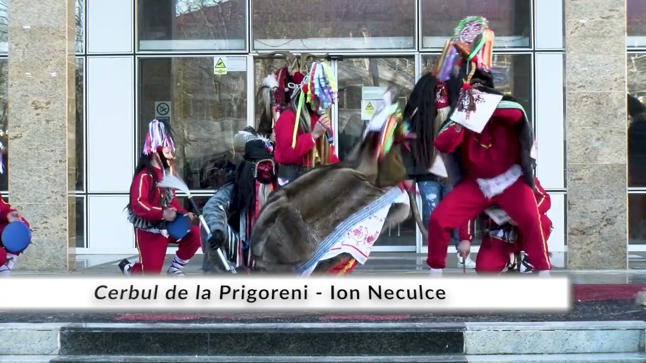 Cerbul de la Prigoreni