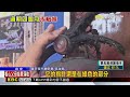 逢甲夜市55支滅火器逾期未檢！ 民眾憂：火災怎麼辦@newsebc