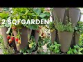 2 Square Feet Garden - GreenStalk 5 Tier Vertical Garden 😃