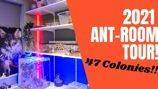 Ant room tour 2021! 47 Ant colonies! Milestone Special!