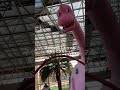 無理でした。