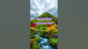 كتاب الأنيميشن ، الشيخ ماهر المعيقلي #القرآن_الكريم #اكسبلور #تلاوة_خاشعة #duet #المصحف