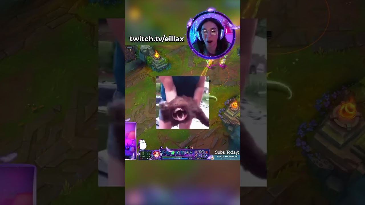 Most Sane Neeko Player…