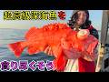 たまにはいいだろ!?深海の超高級魚!『アコウダイ』を釣って食べる