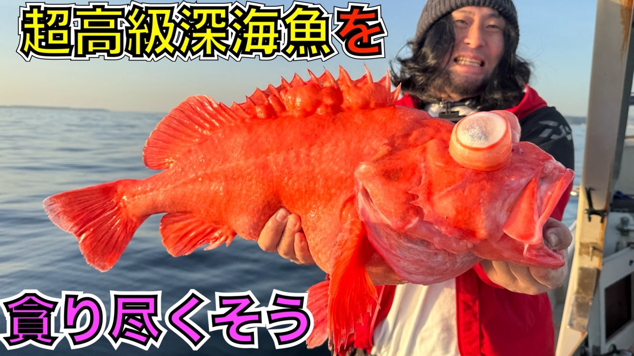たまにはいいだろ!?深海の超高級魚!『アコウダイ』を釣って食べる