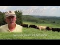 Gaining Ground: Successful Graziers Tell Their Stories