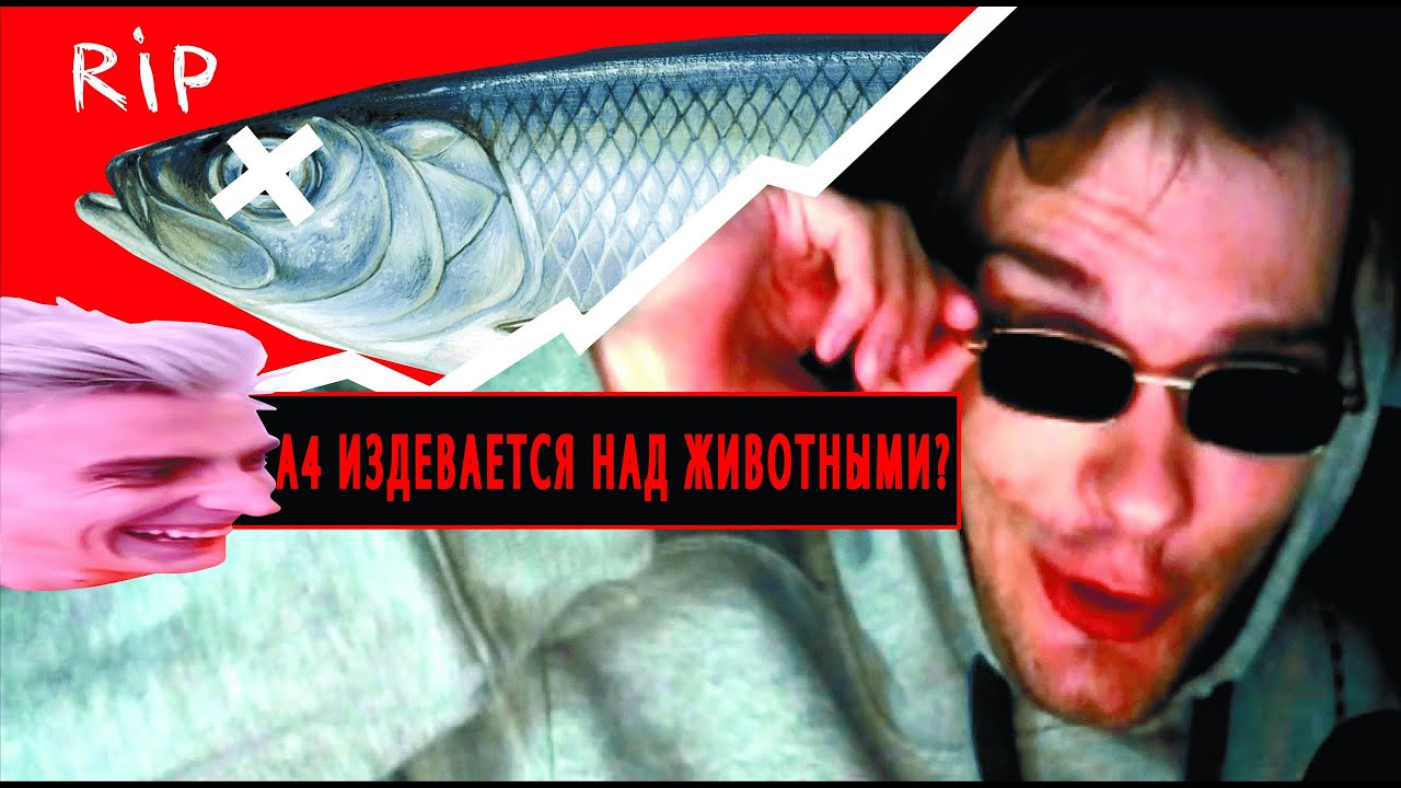 Ютуб почти не работает. Ютуб почти не работает