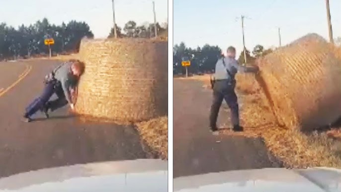 Strong Trooper Pushes Large Bale Of Hay Off Highway