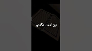 ✨ تلاوة خاشعة من سورة البروج ✨﴿وَالسَّمَاءِ ذَاتِ الْبُرُوجِ﴾