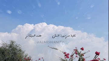 تلاوة صلاة من أرشيف التلاوات ما تيسر من سورة النمل بصوت محبكم #محمد_الميشاني