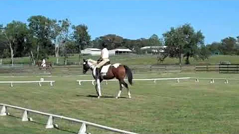 SHONNA AND ROYAL SECOND TEST