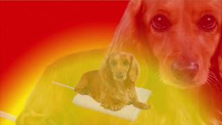 リバーシブルホッとヒーター