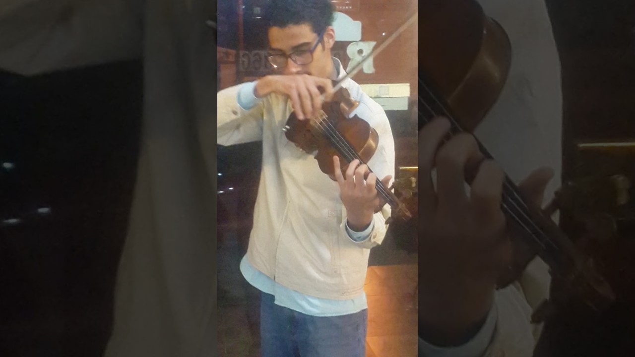 professional violinist