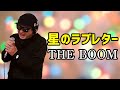 【THE BOOM 星のラブレター】歌ってみた!フル歌詞付き【カバーbyうたどく】
