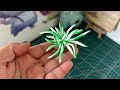 How to Clay Miniature Clay Plants-Part1🪴 #diy #miniature #plants #fondant #easy #tricks #artistic