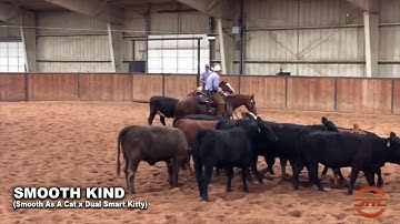 SMOOTH KIND - 2016 Mare by Smooth As A Cat