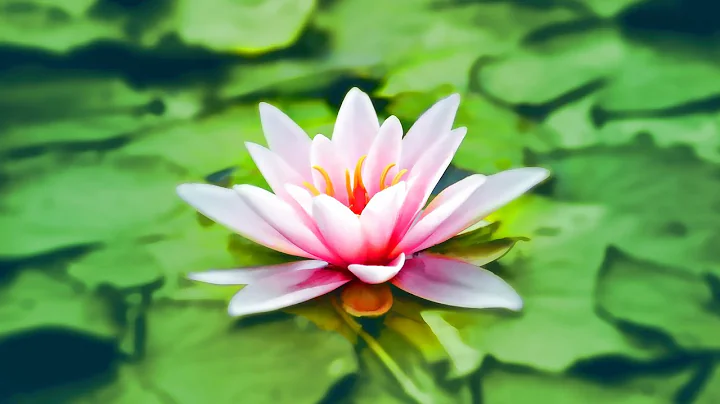 THIRD EYE CHAKRA Sleep Meditation | Awaken Crystal Clear Intuition | Open 3rd Eye Chakra Sleep Music