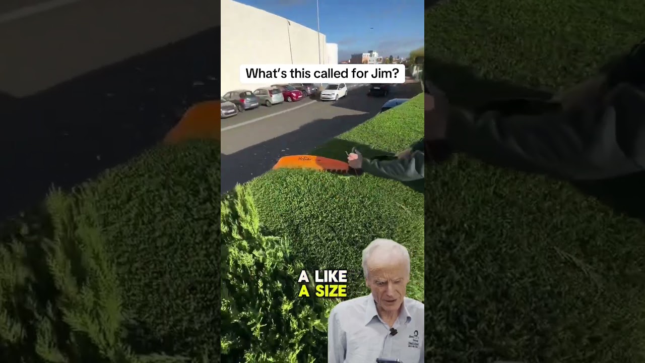 What’s this called for Jim? #jimsmowing #hedge #gardening #tools