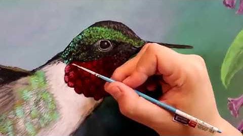 Ruby Throated Hummingbird Time lapse