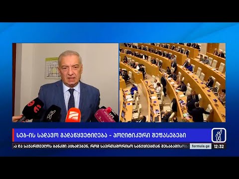 ნათია თურნავას ბრიფინგი - შეფასებები