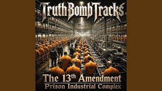 The 13th Amendment, The prison-industrial complex
