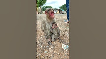 #lyrics #youtube #new #motherslove #love #mummy