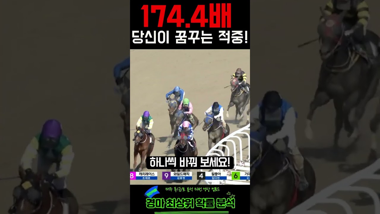 174.4배 이것이 당신이 꿈꾸는 적중! 실제상황! | 260307 (토) 서울6 | #경마 #경마재택크 #경마적중 #shorts #경마방송 #KoreaHorseRacing #쇼츠