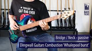 Dingwall Combustion Live Demo - Bassfreaksnet