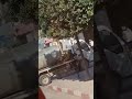 بوحنيفية ولاية معسكر mp3