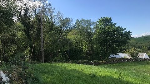 Using the Woodland/Scrub scorecard in the Pearl Mussel Project