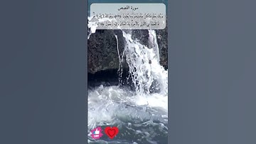 وربك يعلم ما تكن صدورهم وما يعلنون | سورة القصص #دعاء_ورسالة