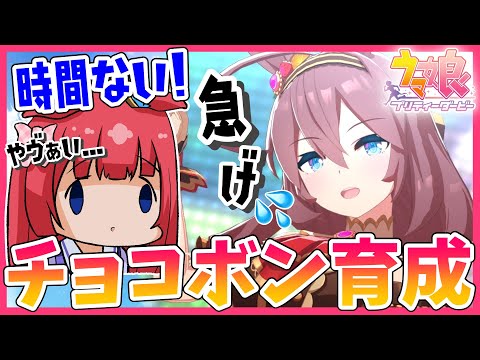 【ウマ娘】キャンサー杯に向けてチョコボン育成🍫え、時間ない…急げー！！！【女性実況/ウマ娘プリティーダービー/STAR SPECTRE】