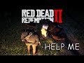 Arthur saved woman on a road RDR2 Red Dead Redemption 2